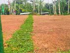 Best Land for Sale in Panadura