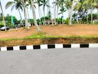 Best land for sale in Panadura