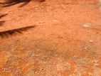 Best Land for Sale in Panadura Walana Y31