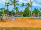 Best land for sale in Pannipitiya Palanwatta area