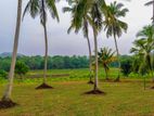 Best Land for Sale in Rathnapura -15P