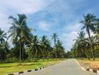 Best land for sale in seeduwa