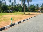 Best Land for Sale in Seeduwa