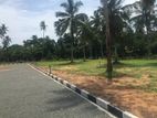 Best Land For Sale in Seeduwa