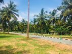 Best land for sale in seeduwa