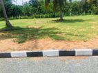 Best land for sale in seeduwa