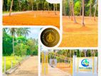 Best land for sale in seeduwa