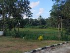 Best Land For Sale In Thalawathugoda