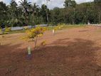 Best Land For Sale In Thalawathugoda