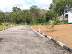 Best Land for Sale in Thalawathugoda