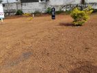 Best Land For Sale In Thalawathugoda