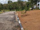 Best Land For Sale In Thalawathugoda