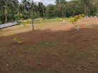 Best Land For Sale In Thalawathugoda