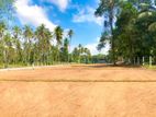 Best land for sale in Veyangoda