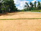 Best Land for Sale in Veyangoda