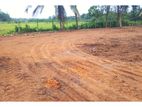 Best land for sale in wadduwa