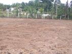 Best Land for Sale in Wadduwa