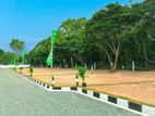 Best Land for Sale in Wadduwa