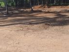 Best land for sale in Yakkala closed to Kandy road