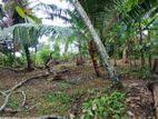 Best Land for Sale in Yakkala