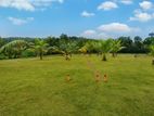 Best Land for Sale Kiriwathtuduwa