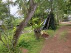 Best Land for Sale Maharagama
