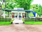 Best Land for Sale Mellawagedara Mb02