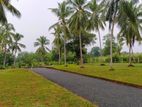 Best Land for Sale Near Ratnapura City