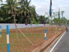 Best Land For Sale Wattala