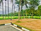 Best Land for Sales Athurugiriya