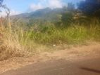 Land for Sale - Haputale
