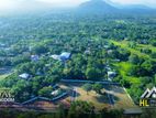 Best Land in Dambulla Town