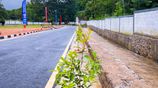 Best Land in Dambulla Town