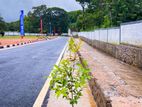 Best Land in Dambulla Town