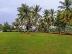 Best land in embilipitiya - 15P