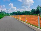Best Land in Horana