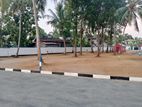 Best Land in Walisara | Near Navy Camp