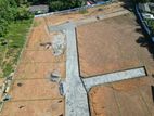 Best Land Plots in Kaluaggala