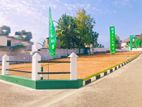 Best Luxury Land for Sale in Ja Ela Bopitiya