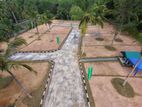 Best Luxury land for Sale in Ja Ela