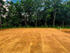 Best Luxury Land for Sale in Nawagamuwa