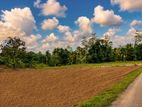 Best luxury land for sale in Nawagamuwa 🌿🏡