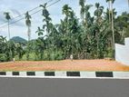 Best luxury land for sale in Watareka 🌿🏡