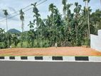 Best Luxury Land for Sale in Watareka