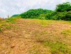 Best Plots of Land in Avissawella City