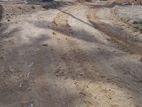 Best Price Land Yakkala 600m from Kandy Road