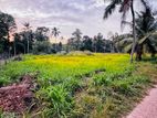Best Priced Land for Sale in Yakkala Kalagedihena