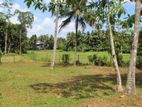 Land For Sale In කිතුල්කන්ද පාර