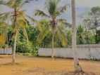 Best Residencial Land Plots for Sale in Padukka