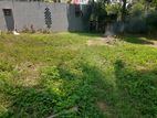 Best Residential 16.8 P Land for Sale 300m to Kanadana Ragama Rd
